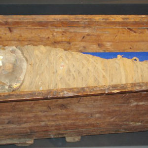 Ancient Egyptian mummified human body and coffin from Faiyum Gurob or Illahun dated 332 – 30 BC
