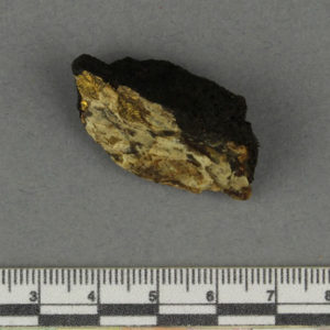 Ancient Egyptian gilded fragment from Dandara