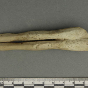 Ancient Egyptian cosmetic spoon from Abydos dated 1473 – 1458 BC