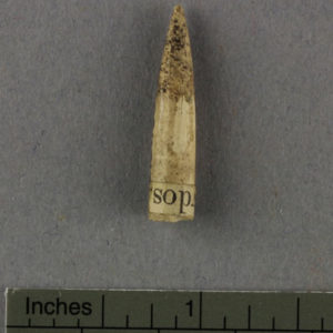 Ancient Egyptian arrowhead from Abydos dated 3000 – 2890 BC