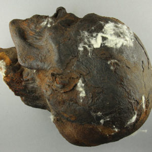 Ancient Egyptian mummified human skull dated 664 – 332 BC