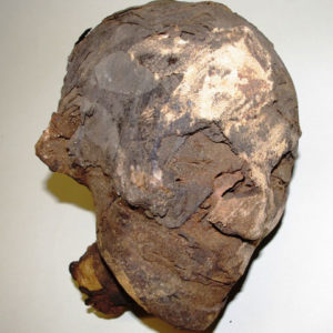 Ancient Egyptian mummified human head dated 1550 – 332 BC