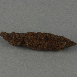 Ancient Egyptian arrowhead from Tell Dafana