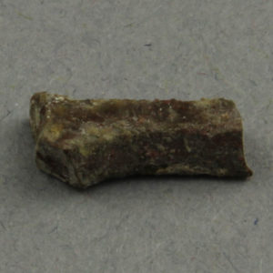 Ancient Egyptian inlay fragment from Tell Nabasha