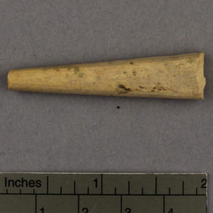Ancient Egyptian bone point from Tanis