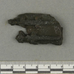 Ancient Egyptian lizard reliquary fragment from Naukratis