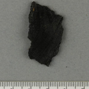 Ancient Egyptian linen fragment from Dandara