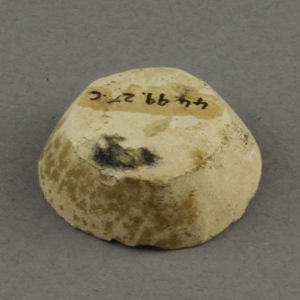 Ancient Egyptian limestone disc from Diospolis Parva