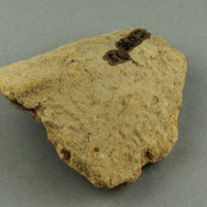 Ancient Egyptian jar sealing fragment from Abydos dated 3000 – 2890 BC