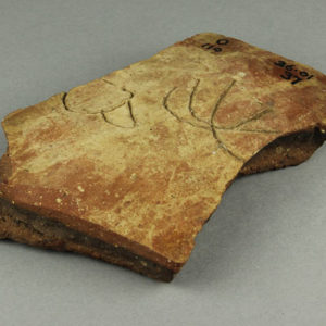 Ancient Egyptian body sherd from Abydos dated 3000 – 2890 BC