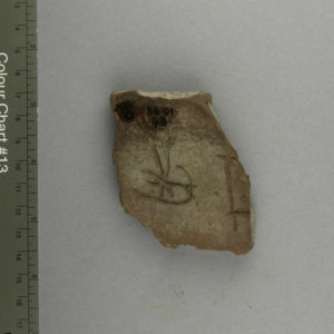 Ancient Egyptian body sherd from Abydos dated 3000 – 2890 BC