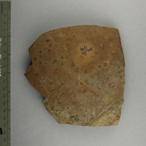 Ancient Egyptian body sherd from Abydos dated 3000 – 2890 BC