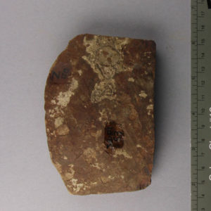 Ancient Egyptian body sherd from Abydos dated 3000 – 2890 BC