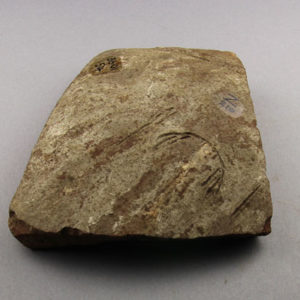 Ancient Egyptian body sherd from Abydos dated 3000 – 2890 BC