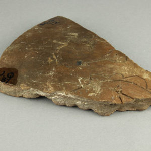 Ancient Egyptian body sherd from Abydos dated 3000 – 2890 BC