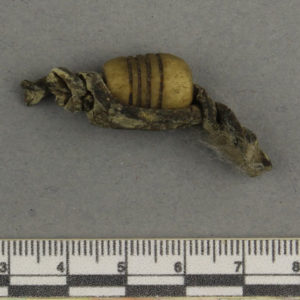 Ancient Egyptian bone fragment from Oxyrhynchus dated 332 – 30 BC