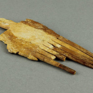 Ancient Egyptian comb from Mahasna dated 4000 – 3500 BC