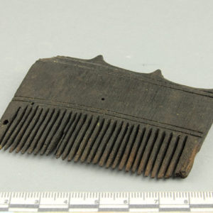 Ancient Egyptian comb from Sedment