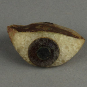 Ancient Egyptian inlay eye from Hawara dated 30 BC – AD 395