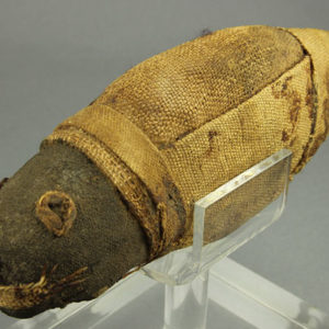 Ancient Egyptian mummified fish from Esna dated 664 – 332 BC