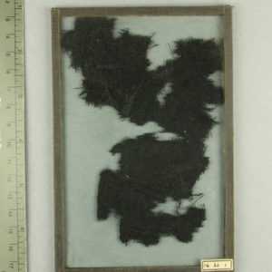 Ancient Egyptian wool fragment from Napata dated 750 – 500 BC