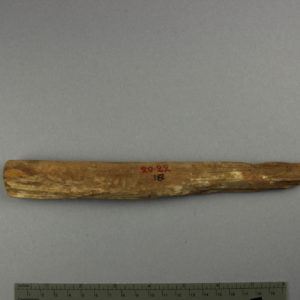 Ancient Egyptian stick from Abydos dated 2055 – 1773 BC