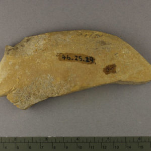 Ancient Egyptian limestone fragment from Amarna dated 1550 – 1295 BC