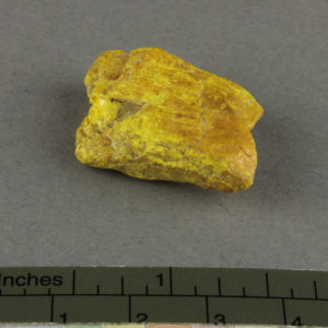 Ancient Egyptian yellow pigment from Amarna dated 1550 – 1295 BC