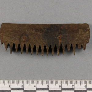 Ancient Egyptian weaving comb teeth from Faiyum dated 332 BC – AD 395