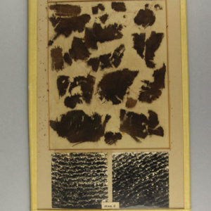 Ancient Egyptian linen fragments from Badari