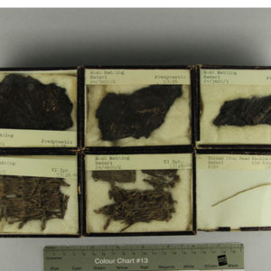 Ancient Egyptian linen and plant fibre samples from Badari dated 5300 – 2160 BC