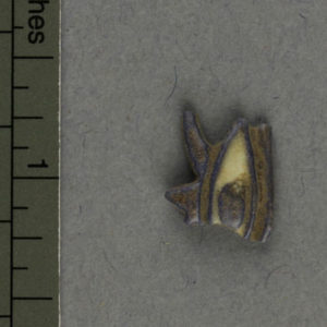 Ancient Egyptian Wadjet eye ring bezel from Amarna dated 1550 – 1295 BC