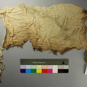 Ancient Egyptian linen fragment