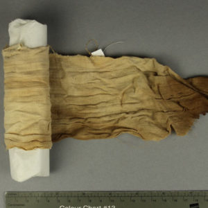 Ancient Egyptian linen fragment