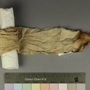 Ancient Egyptian linen fragment