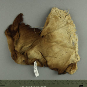 Ancient Egyptian linen fragment