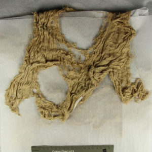 Ancient Egyptian linen fragment