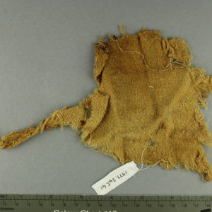 Ancient Egyptian linen fragment