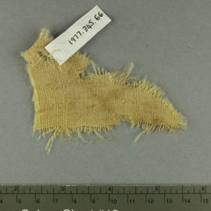 Ancient Egyptian linen fragment