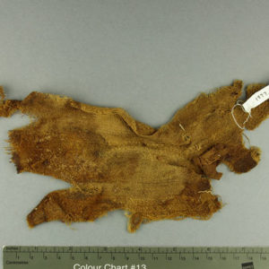 Ancient Egyptian linen fragment