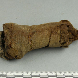 Ancient Egyptian mummified human bone from Saqqara dated 664 – 332 BC