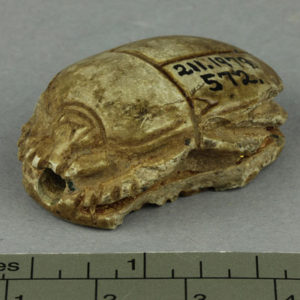 Ancient Egyptian scarab dated 1479 – 1425 BC