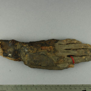 Ancient Egyptian mummified human hand