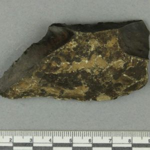 Ancient Egyptian chert flake