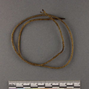 Ancient Egyptian twisted gut string from Mostagedda dated 1773 – 1550 BC