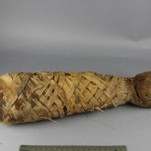 Ancient Egyptian mummified cat