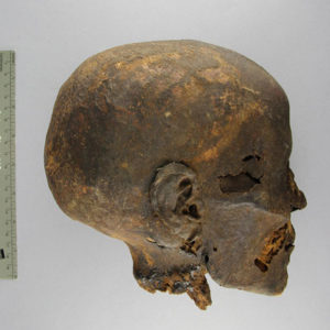 Ancient Egyptian mummified human head