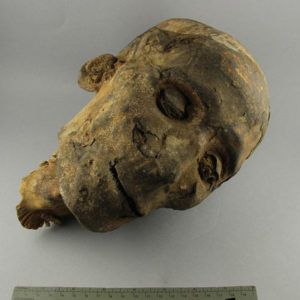 Ancient Egyptian mummified human head