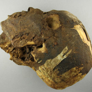 Ancient Egyptian mummified human head