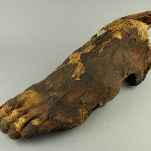 Ancient Egyptian mummified human foot dated 664 – 332 BC